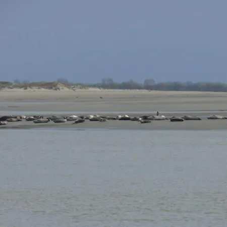 Lägenhet Les Freres Caudron, Centre