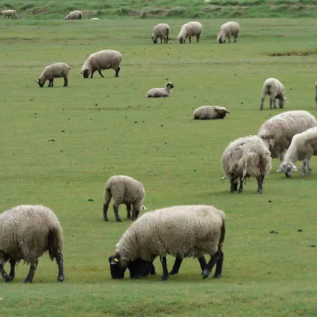 Les Freres Caudron, Centre Le Crotoy