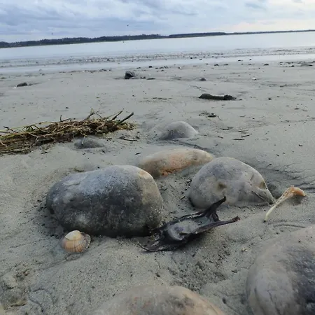 Les Freres Caudron, Centre