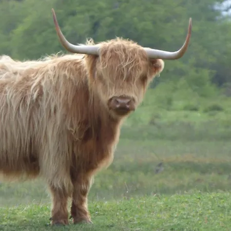 Les Freres Caudron, Centre * Le Crotoy