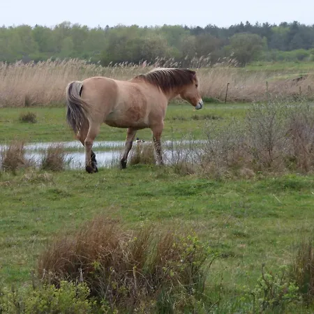 Les Freres Caudron, Centre Appartement Le Crotoy